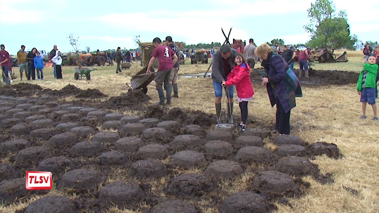 Triaize : 32ème Fête de la bouse
