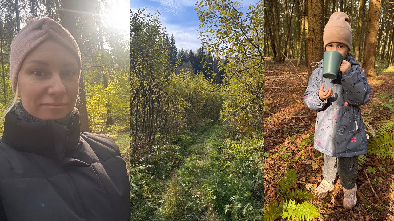 VLOG: мою окна | навожу порядок | домашние дела | золотая осень