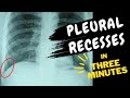Pleural recesses | In THREE Minutes