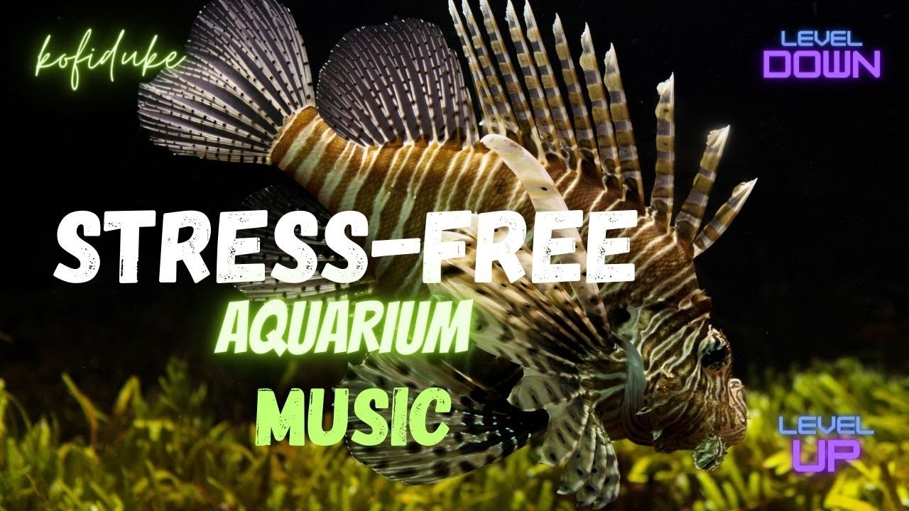 inspirations, meditations relaxation aquarium music. YouTube