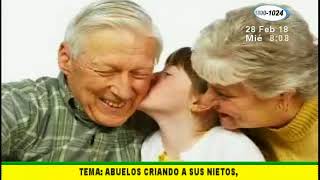 ¿Es recomendable que los abuelos críen a sus nietos? ¿Es recomendable que los abuelos críen a sus nietos?