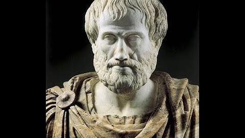 The Components of Categorical Propositions; Quality, Quantity and Distribution.