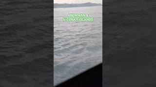 ANDAMAN &amp; NICOBAR ISLANDS🏖️#viralshort #trending #foryou #subscribe #support 🙏❤️‍🩹