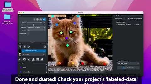 Annotation & Labeling keypoints with napari-deeplabcut  💜