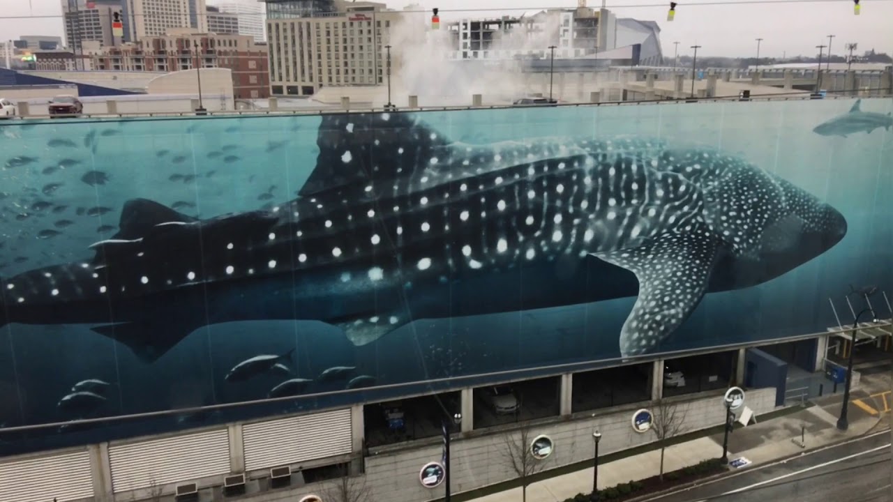 Atlanta aquarium and world of Coca Cola YouTube