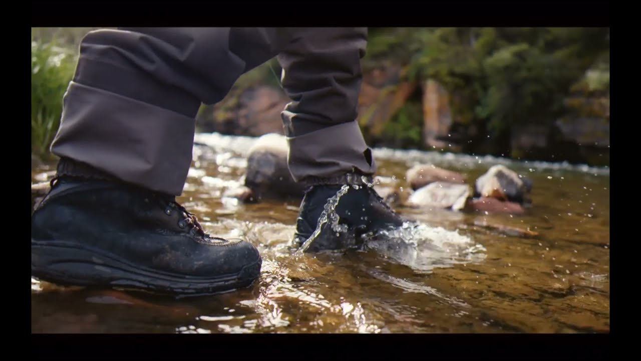 Man fishing catch video | no copyright video | CFV copyright free video