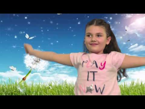 CANDY STUDIO - ლურჯი ფრინველი