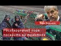 Новый виток роста цен | Грудинин предложил пересадить Росгвардейцев на трактора