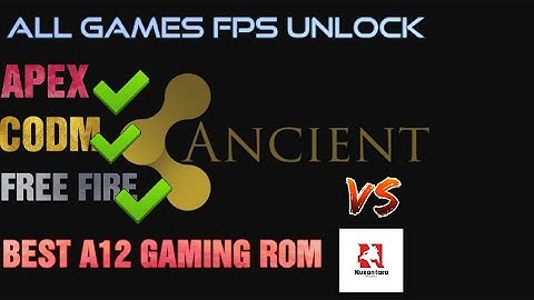 First Rom To Run on Max Settings | Poco X3 NFC | Apex/CODM/Free Fire Performance Test 🔥🔥