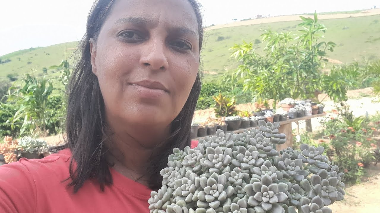 MINHA ORGANIZAÇÃO QUE FICOU MARAVILHA!!!!! 🥰🥰🥰🥰🥰🥰🥰