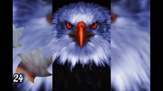 Fondos de Águilas para fondos de pantalla y de perfil #1//K-24// screenshot 2