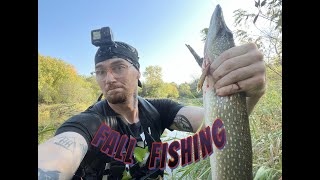 EPIC OUTDOOR ADVENTURE! MINNESOTA FALL FISHING! CRAZY PIKE DOWN SPILLWAY RIVER FISHING
