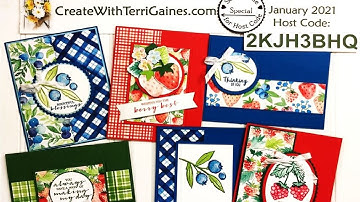 Fun Cards made with Berry Blessing Stamp Set & Berry Delightful Designer Series Paper