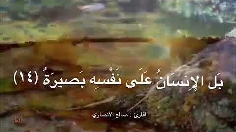 تلاوة خاشعة من صلاة العشاء ، للقارئ: صالح الانصاري