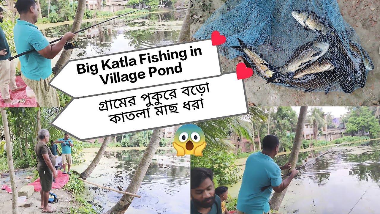 😱Big Katla Fishing in Village Pond 