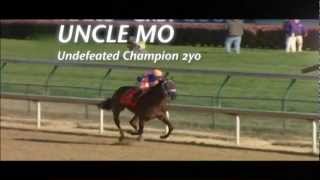 Uncle Mo - Coolmore Australia