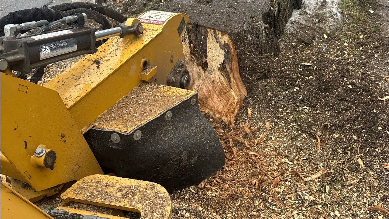 How to Use a Vermeer SC30TX Stump Grinder (Controls, Setup & Pro Tips)