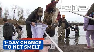 Oregonians head to Sandy River for 1-day chance to net eulachon smelt