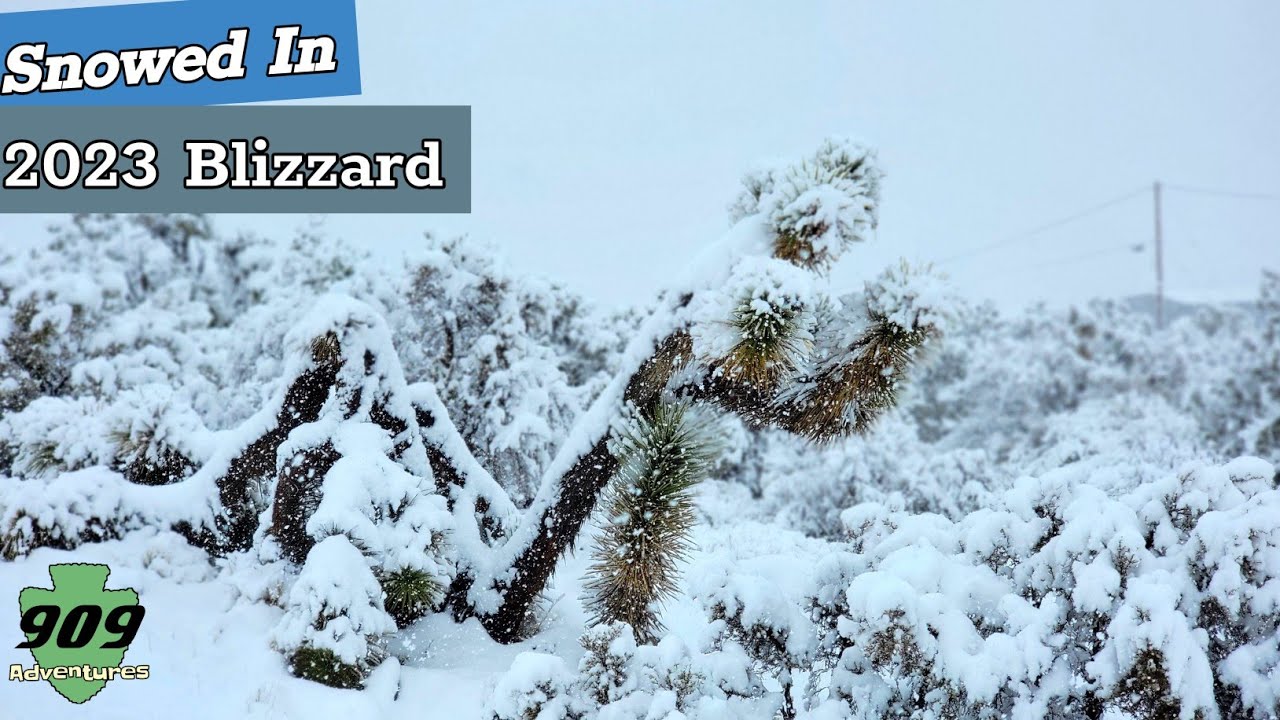 California Snow Storm of 2023 A Record Breaking Blizzard that hit