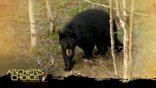 Saskatchewan Monster Black Bears | Archer’s Choice - Season 1