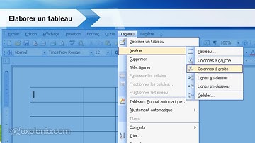 Comment insérer un tableau dans Word 2003