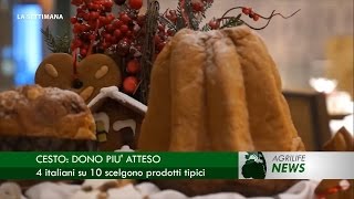 Notiziario 24 dicembre - La settimana