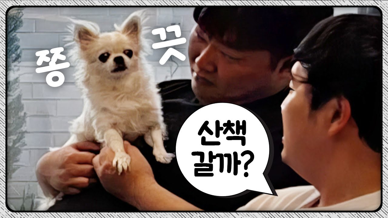 노예들과 산책하는 강아지