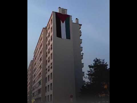 وضع علم فلسطين على أحد مباني ليون الفرنسية