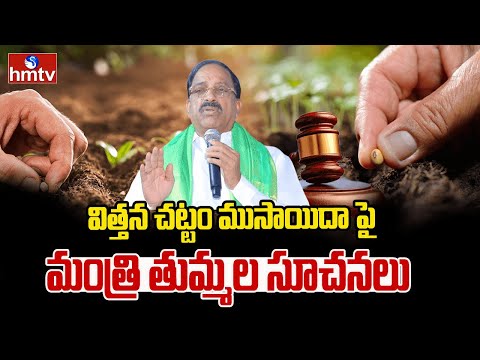 విత్తన చట్టం ముసాయిదాపైమంత్రి తుమ్మల సూచనలు | Seed Act | Thummala Nageshwara Rao | hmtv