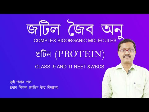 biomacromolecules/protein/structure/function /class 9 / class 11 / neet/ wbcs/life science bengali