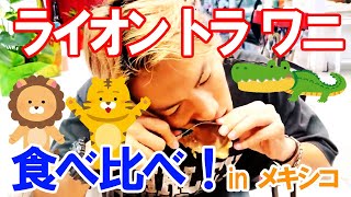 食べ比べ！ライオン肉・トラ肉・ワニ肉【ジョーブログ切り抜き】 screenshot 5
