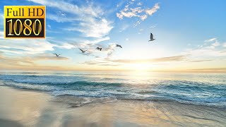 Heart touching  soft relaxing ocean sounds of waves for study,Yoga, meditation.From Mates soul. screenshot 3