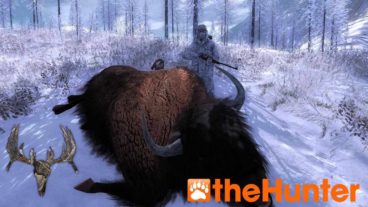 Thehunter Classic 121" Bison Kill HD 2018 YouTube
