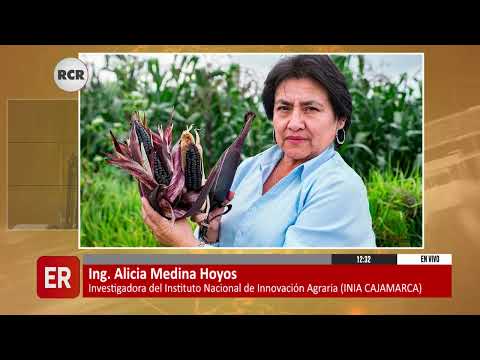 AYER SE LANZÓ EN CAJAMARCA LA III EDICIÓN DEL FESTIVAL DE MAÍZ MORADO
