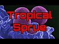 What is tropical spruecauses riskfactorssymptomsdiagnosis treatmentmanagement