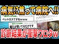 【続・猫ちゃん編☆】ドクターに言われた衝撃的な言葉【2ch面白いスレ】