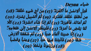 سورة عبس للحفظ والمراجعة || برواية ورش ووقف الهبطي