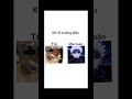 Khi ở trường kiểu/|#edit #foryou #trending #shorts #fyp #school