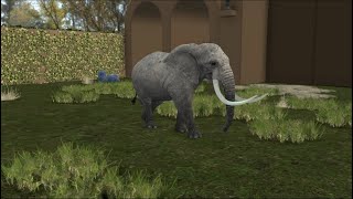 Elephant in the Zoo + Walk Cycle
