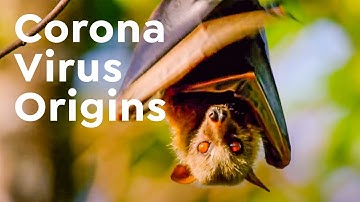How Viruses Jump From Animals to Humans | Coronavirus Origins