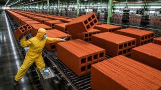 The Process of Producing Fired Clay Bricks | Complete Factory Production Process