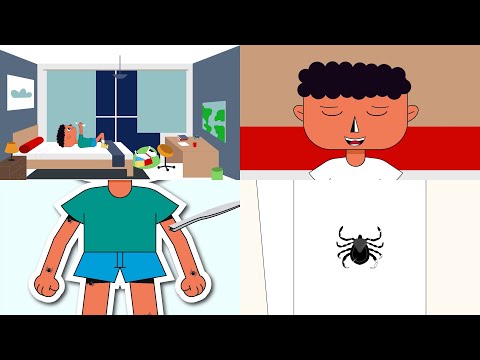 Vídeos curtos produzidos com apoio da FAPESP ensinam crianças a se prevenir contra febre maculosa