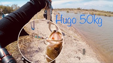 Câu lure cá chẽm /cần giờ mấy bạn cứ hỏi cá đâu nó đây