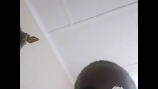 Buya  Tenda Ft Dj Style