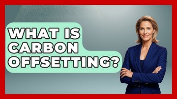 What Is Carbon Offsetting? - Learn About Economics