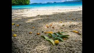 Download lagu Boracay Island - Malabunot Baybay