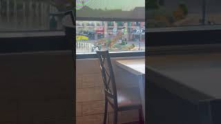 The Island Dinosaurs 🦕 in Pigeon Forge, TN