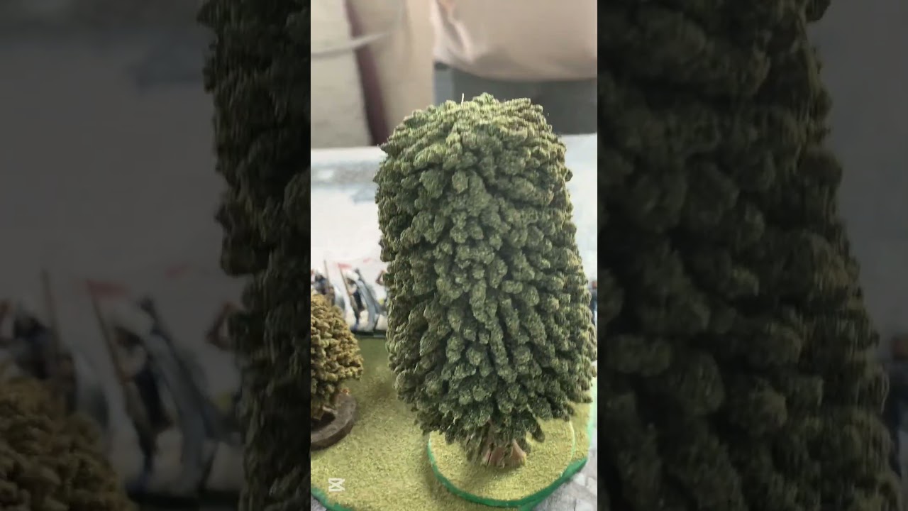 Imperio vs Elfos Silvanos 