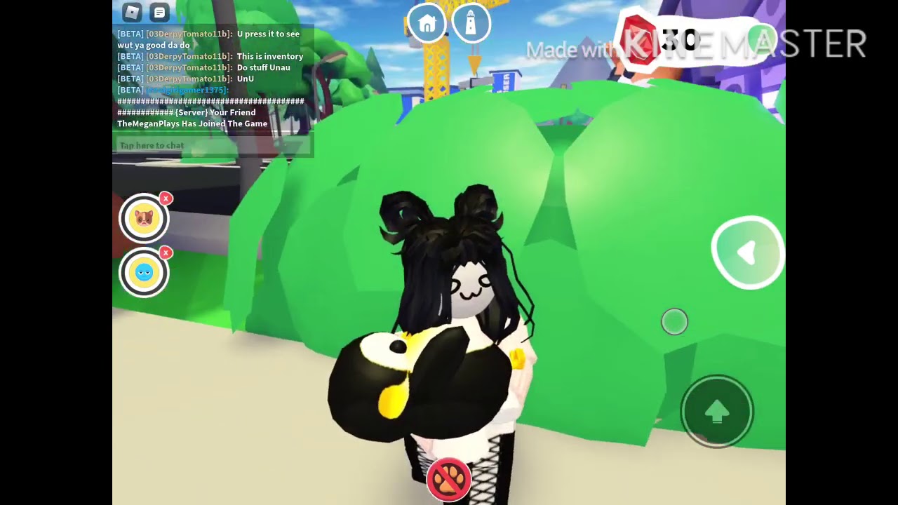 Guide to overlook bay: