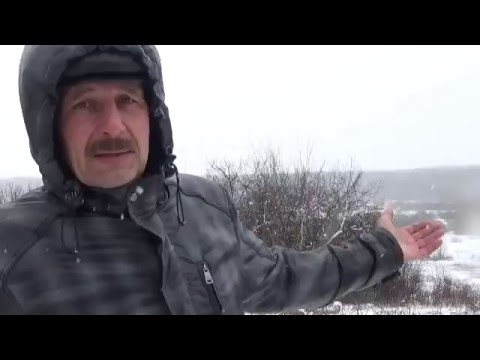 Погода село турбина